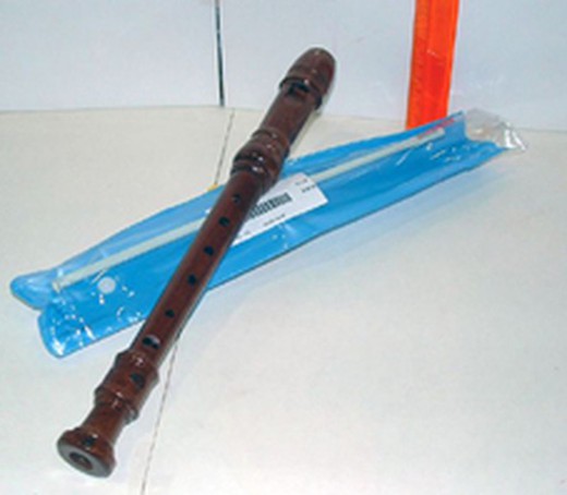 Wood flute in bag