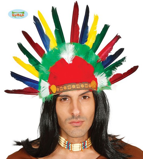 Indian Plume Plume