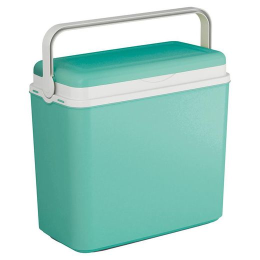 Rigid coolers and bags
