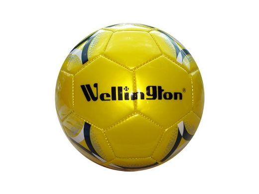 Ballon de soccer intérieur Wellington 3