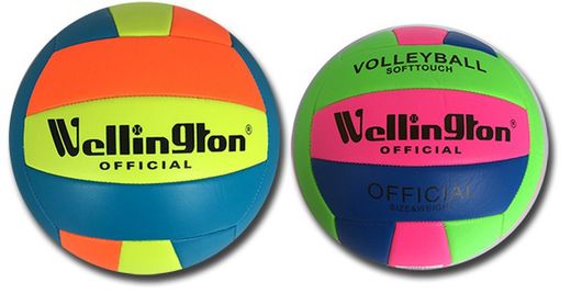 Volleyball officiel