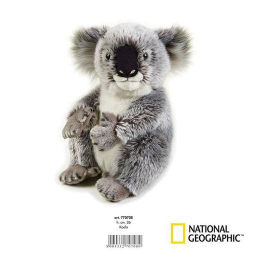 National Geographic Koala Medium 26 cm Venturelli 770708